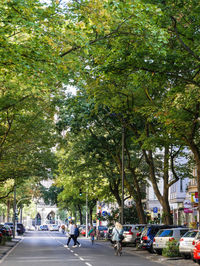 Vehicles on road along plants and trees in city