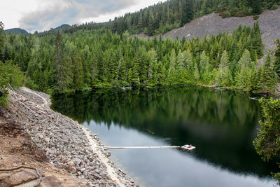 Scenic view of river with trees in background