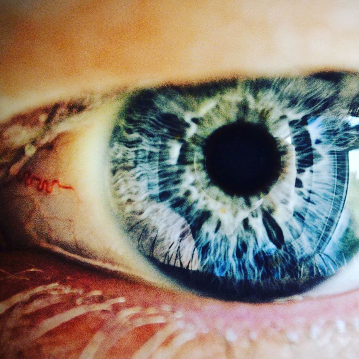 CLOSE-UP OF HUMAN EYE