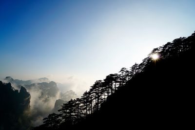 Trees on mountain against blue sky