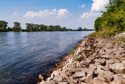 A fortified bank reinforcement on the middle rhine in germany