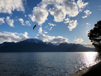 Birds flying over sea against sky