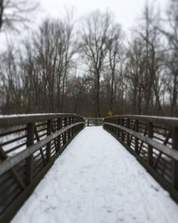 Footbridge amidst trees