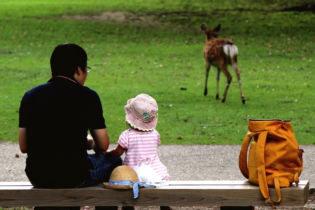 full length, rear view, animal themes, togetherness, casual clothing, lifestyles, bonding, leisure activity, domestic animals, childhood, mammal, girls, one animal, boys, elementary age, love, sitting