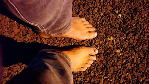 Close-up low section of woman wearing shoes