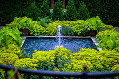 Scenic view of waterfall in garden