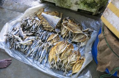 High angle view of fish for sale in market