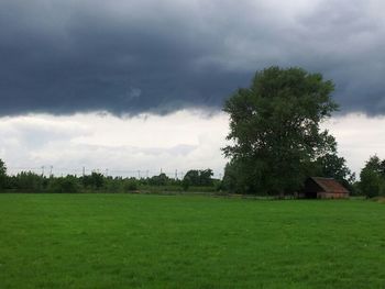 Scenic view of grassy field against cloudy sky