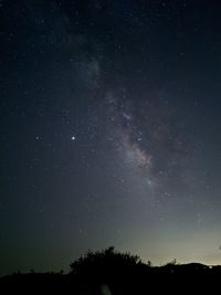 Low angle view of silhouette trees against star field at night