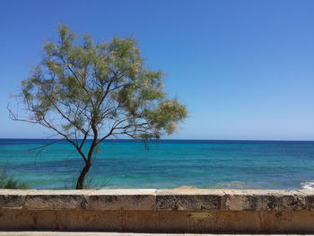 Scenic view of sea against blue sky