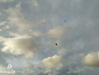 Low angle view of bird flying in sky