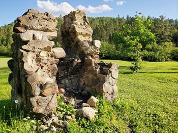 View of rocks on field