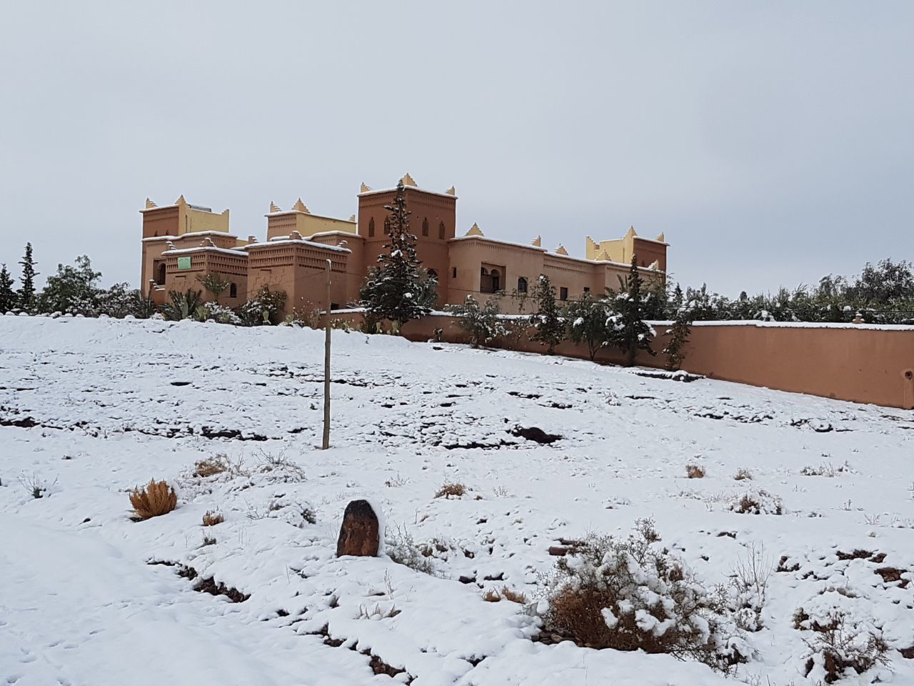 snow, winter, architecture, built structure, cold temperature, no people, building exterior, tree, outdoors, landscape, nature, sky, day