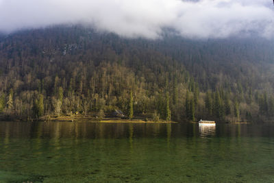 Scenic view of lake in forest against sky