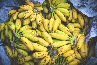 Banana on background view.