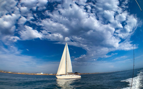 Sailboat sailing in sea against sky