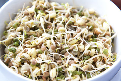 High angle view of chopped vegetables in bowl