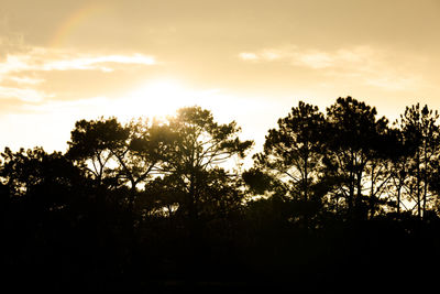 Silhouette trees against sky during sunset