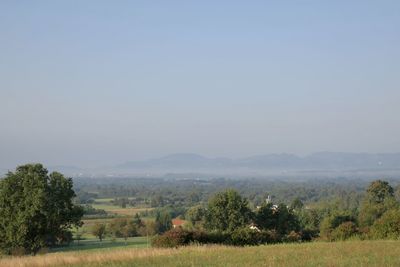 Scenic view of field against clear sky