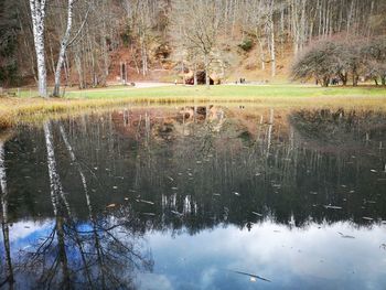 Scenic view of lake by trees in forest