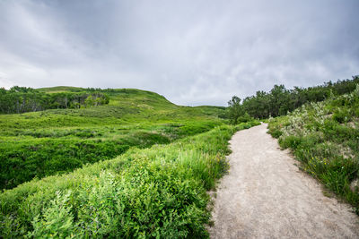 Scenic view of green landscape against sky