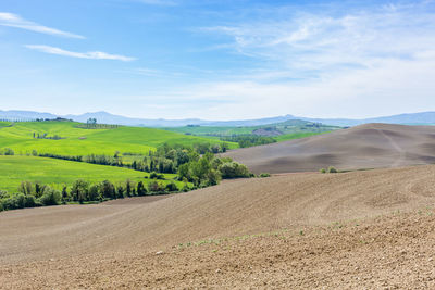 Tuscan rolling rural landscape view with new sown field
