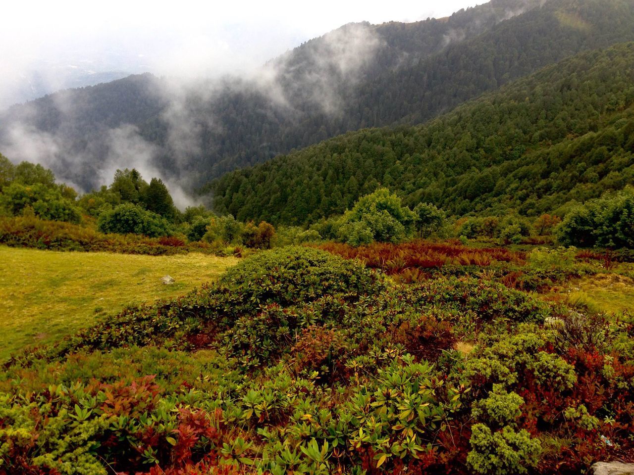 SCENIC VIEW OF MOUNTAINS