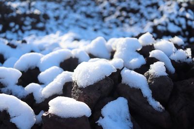 Close-up of snow on land
