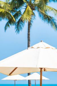 Low angle view of coconut palm trees against blue sky