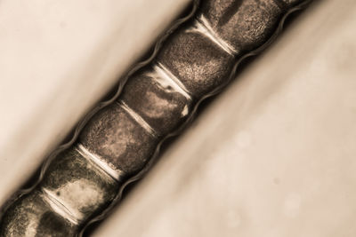 Low section of human feet