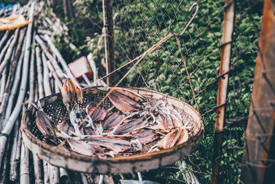 Dried fishes in basket