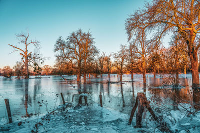 Ice covered field after a flood and frosty night, düsseldorf germany.
