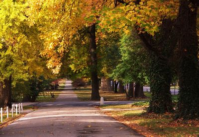 Road amidst trees during autumn