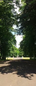 Footpath in park