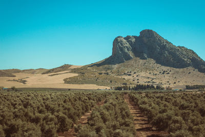 Scenic view of desert against clear blue sky