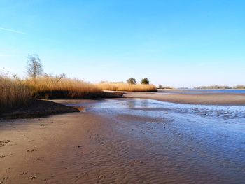 Scenic view of riverbed against clear sky