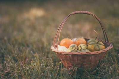 Vegetables in basket on field