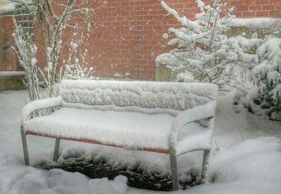 Snow covered landscape