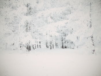 Aerial view of snow covered landscape