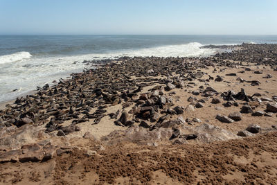 Scenic view of rocks on beach against sky