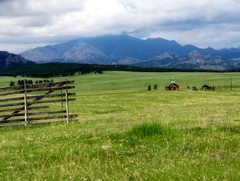 Scenic view of agricultural field against sky