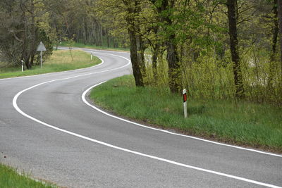 Road curves amidst trees 