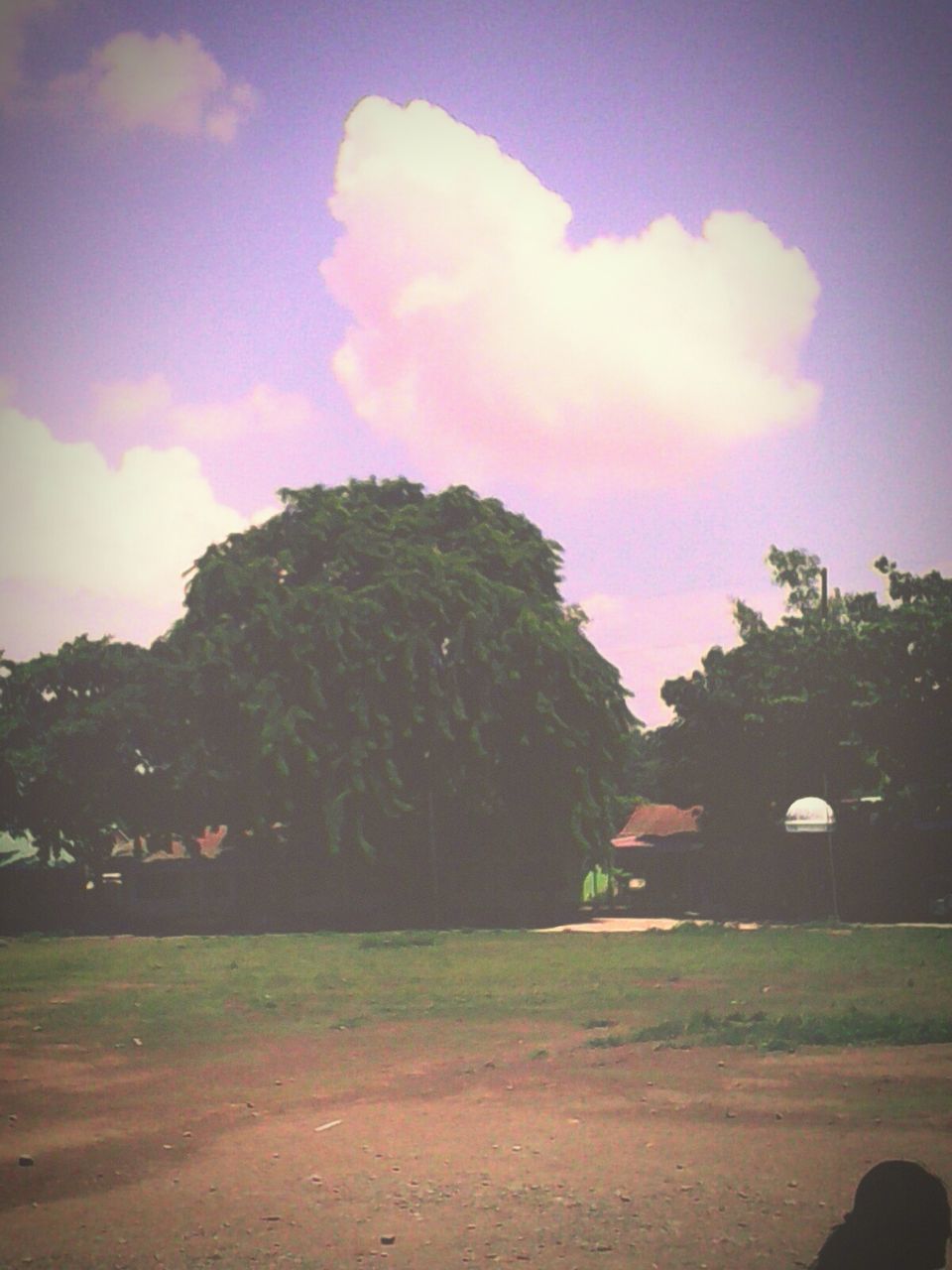 sky, tree, cloud - sky, road, landscape, nature, cloud, tranquility, built structure, building exterior, car, field, outdoors, grass, beauty in nature, dusk, scenics, transportation, street, tranquil scene