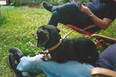 Low section of man with dog sitting on grass