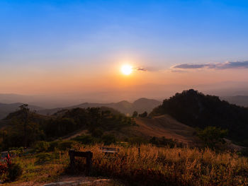 environment