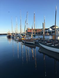 Sailboats moored in harbor