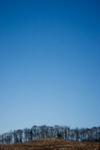 Scenic view of field against clear blue sky