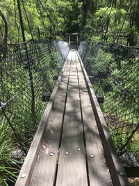 View of footbridge in forest