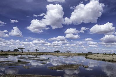 Serengeti, tanzania, october 27, 2023. beautiful landscape reflected in the water