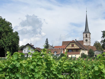 Panoramic view of trees and buildings against sky